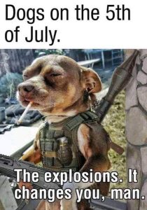 Stupid Bar Memes dogsdogssons5thsjulysexplosionsschangessman