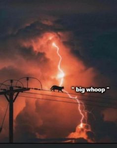 Stupid Bar Memes e11efab6b94fb6be