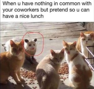 Stupid Bar Memes e655dcc7fb320d01