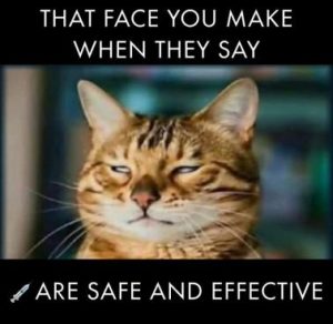 Stupid Bar Memes e6c9adafb1679c12