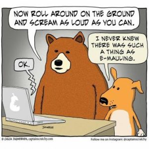 Stupid Bar Memes ebdbcdba00544b93