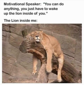 Stupid Bar Memes ed35b0b857204855
