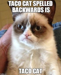 Stupid Bar Memes eew1v