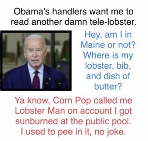 Stupid Bar Memes f5ef9f760c8f0df5