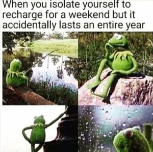 Stupid Bar Memes f6e9dd2d0ad56f76