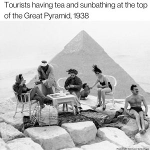 Stupid Bar Memes f82ef02952659c32