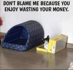 Stupid Bar Memes fe1c4b1fa64a3572