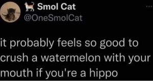Stupid Bar Memes jjivqLy