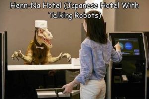 Stupid Bar Memes morningspicss3821s640s12