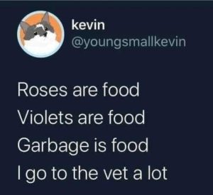 Stupid Bar Memes ndNDvMi
