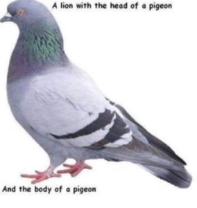Stupid Bar Memes vKIvEF8
