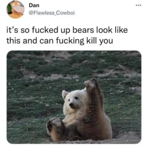 Stupid Bar Memes vadGJ1y