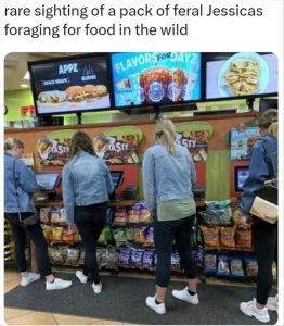 Stupid Bar Memes youreslookingsforsfood
