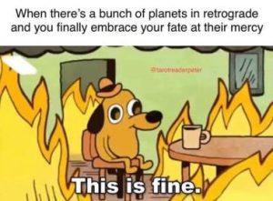 Stupid Bar Memes 01956181a637ed60