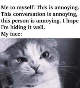 Stupid Bar Memes 0859e7a0b33d964b