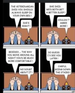 Stupid Bar Memes 08685cb43d14d7bb