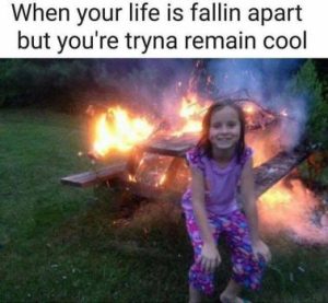 Stupid Bar Memes 09f27234517c0986