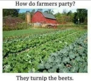 Stupid Bar Memes 0c24a099bfb54e90
