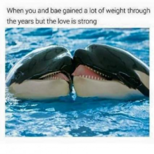Stupid Bar Memes 0cf23124c38d1694