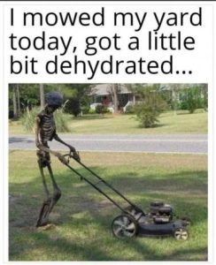 Stupid Bar Memes 0d383a6ea1972389