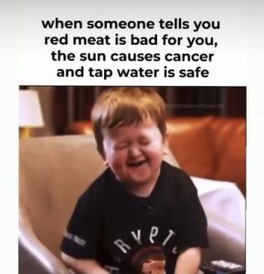 Stupid Bar Memes 0fe92c0d48b2cceb