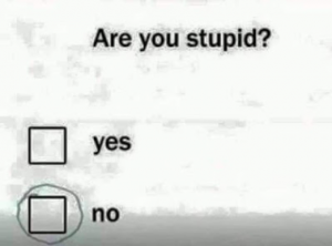 Stupid Bar Memes 11786f33b1ce0266