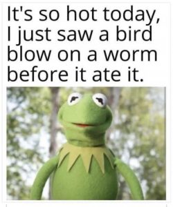 Stupid Bar Memes 1258f7e3ee57a47d