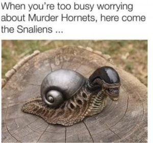 Stupid Bar Memes 1457e5810fe87c19