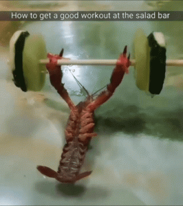 Stupid Bar Memes 187812fc036b1dac