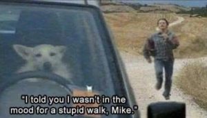 Stupid Bar Memes 1987f01f0150351c