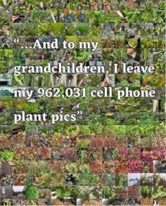 Stupid Bar Memes 1bb2a93f19129971