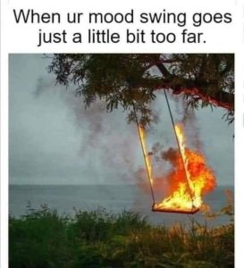Stupid Bar Memes 1bf22e4b3a14a1a5