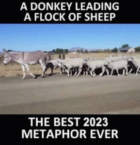 Stupid Bar Memes 24c234dcc26c9867