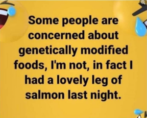 Stupid Bar Memes 25885d4fd214fe22