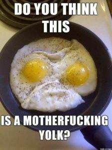 Stupid Bar Memes 2920247b1ebc9e28