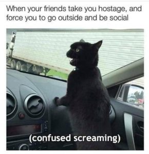 Stupid Bar Memes 29598ca45b229c30