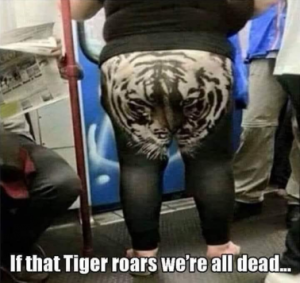 Stupid Bar Memes 2d3e6794a05bd442