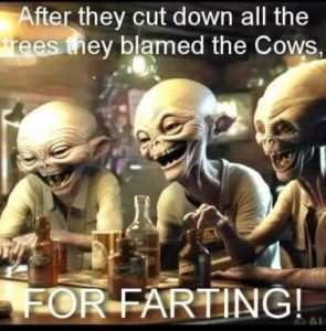 Stupid Bar Memes 2db6025dd601b199