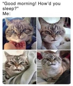 Stupid Bar Memes 30f503593020558d