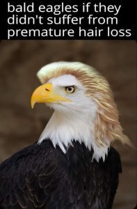 Stupid Bar Memes 32ab7a1a153ff8c5dbeb87194ca2e292