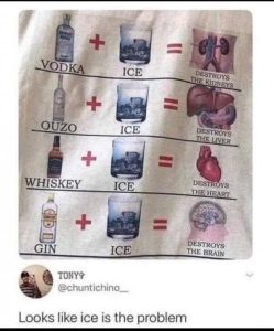 Stupid Bar Memes 3308420307664efd