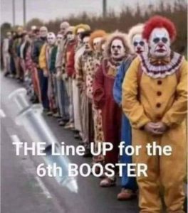 Stupid Bar Memes 3336343695b1bf8e