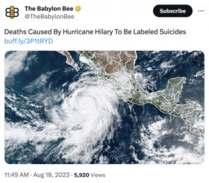 Stupid Bar Memes 33769c3dc7e7049d