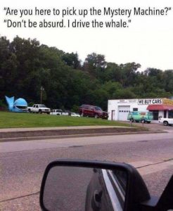 Stupid Bar Memes 349b6ea1daa52047