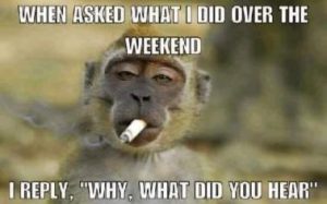 Stupid Bar Memes 3c15356406c8dd58