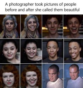 Stupid Bar Memes 3cbfc3d1cec28226