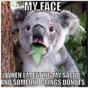 Stupid Bar Memes 3f7491f37412f086