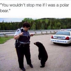 Stupid Bar Memes 404d06c81115875e