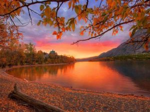 Stupid Bar Memes 4197a89ec99f09f6