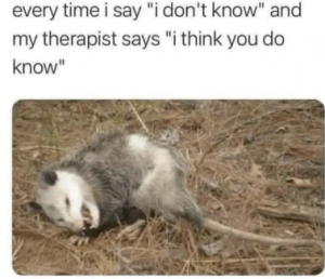 Stupid Bar Memes 445da43ce730cb55
